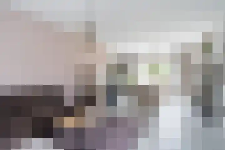 Lemmenhoek 18 Ospel thumbnail 5