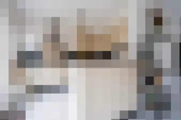 Lemmenhoek 18 Ospel thumbnail 8