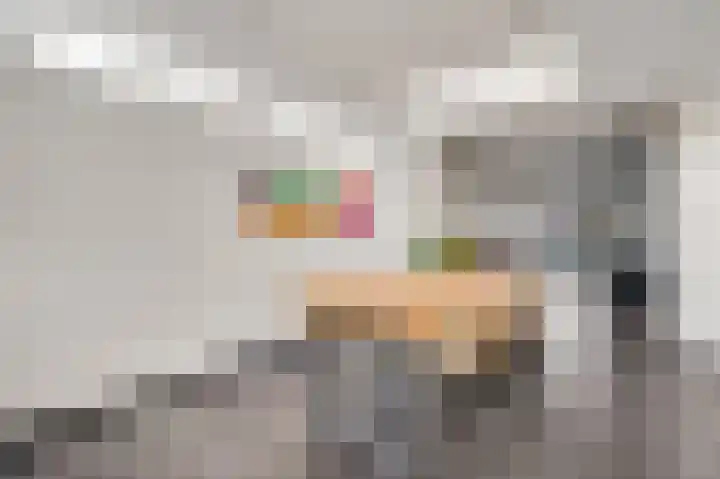 Lemmenhoek 23 Ospel thumbnail 17