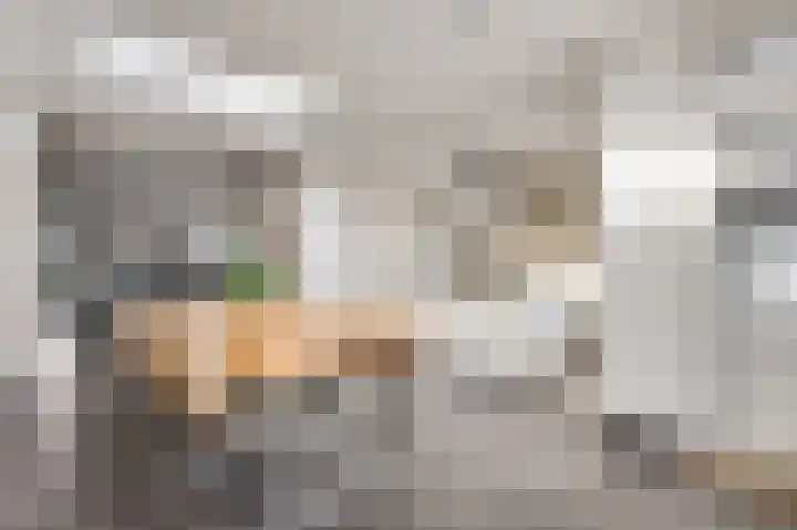 Lemmenhoek 23 Ospel thumbnail 18