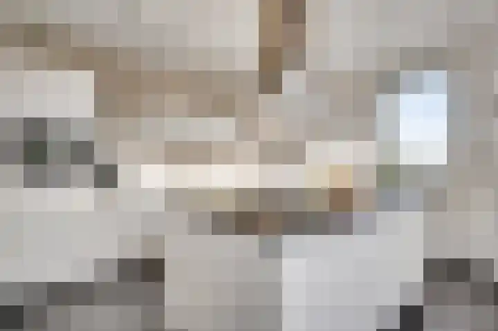 Lemmenhoek 23 Ospel thumbnail 20