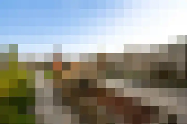 Lemmenhoek 23 Ospel thumbnail 22