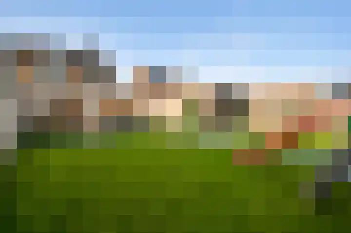 Lemmenhoek 23 Ospel thumbnail 24
