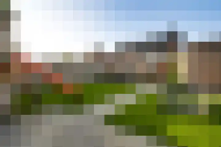 Lemmenhoek 23 Ospel thumbnail 25