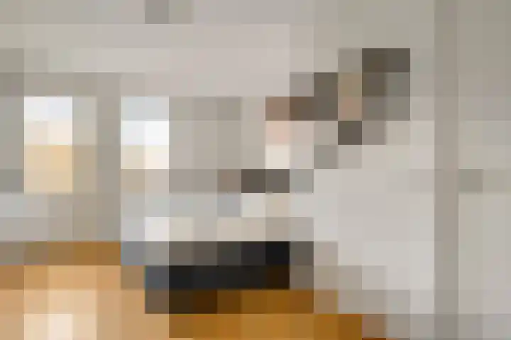Lemmenhoek 23 Ospel thumbnail 28