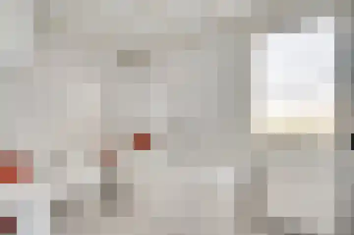 Lemmenhoek 23 Ospel thumbnail 34