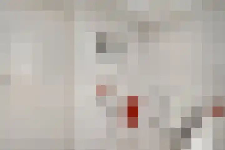 Lemmenhoek 23 Ospel thumbnail 35
