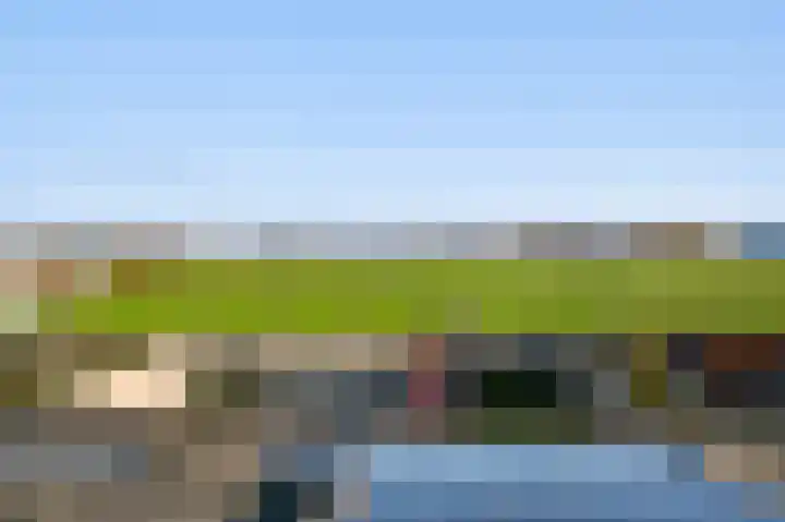 Lemmenhoek 23 Ospel thumbnail 37