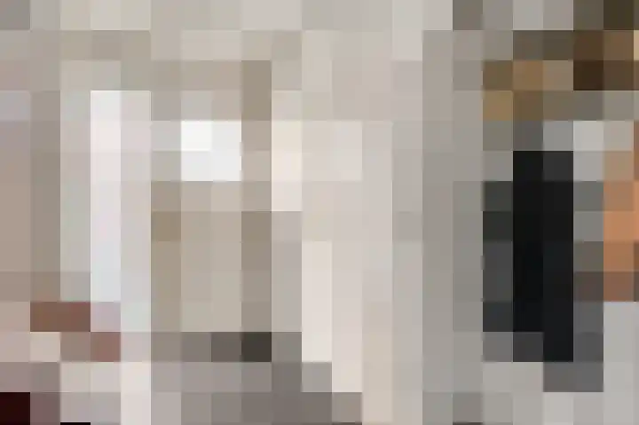Lemmenhoek 23 Ospel thumbnail 7