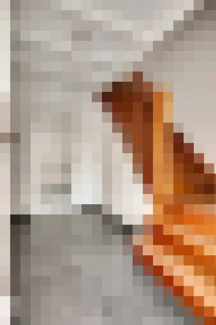Lemmenhoek 23 Ospel thumbnail 8