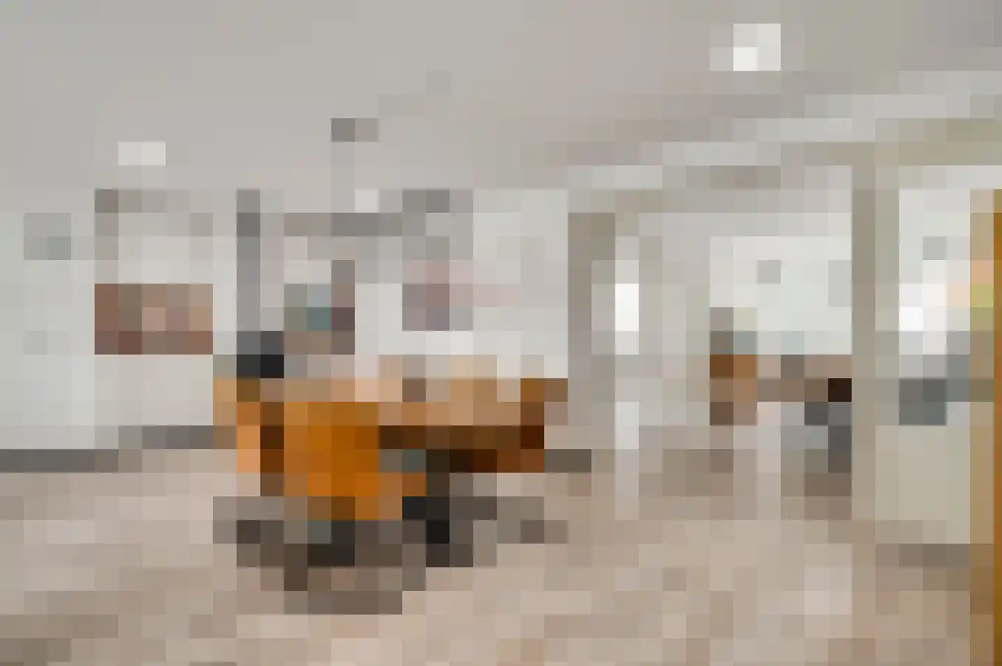 Lemmenhoek 27 Ospel thumbnail 10