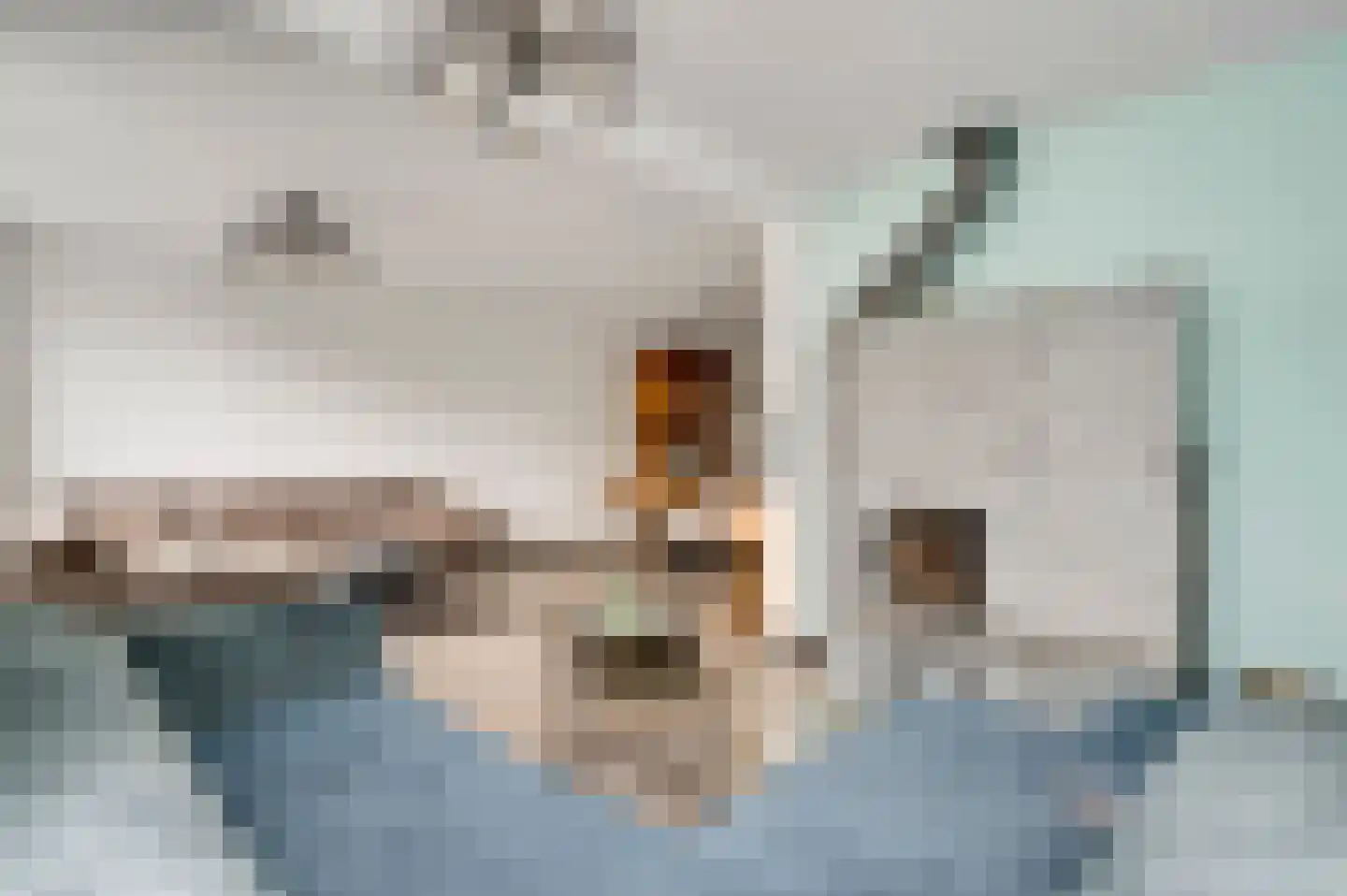 Lemmenhoek 27 Ospel thumbnail 8