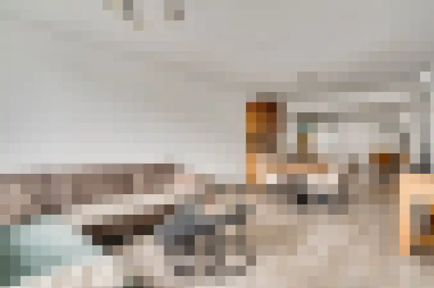 Lemmenhoek 27 Ospel thumbnail 9