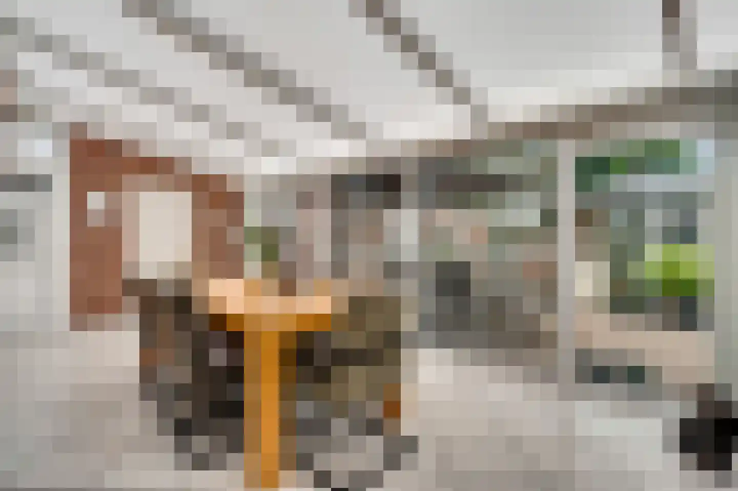 Lemmenhoek 52 Ospel thumbnail 19