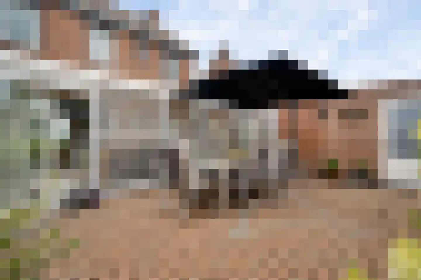 Lemmenhoek 52 Ospel thumbnail 34