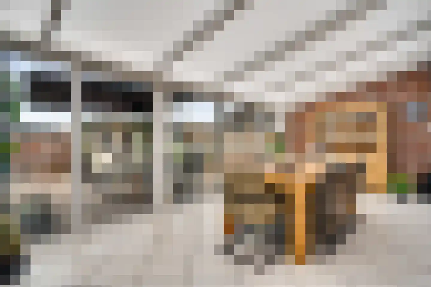 Lemmenhoek 52 Ospel thumbnail 4