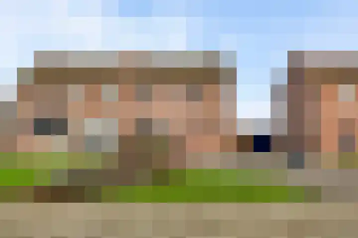 Lemmenhoek 70 Ospel thumbnail 32