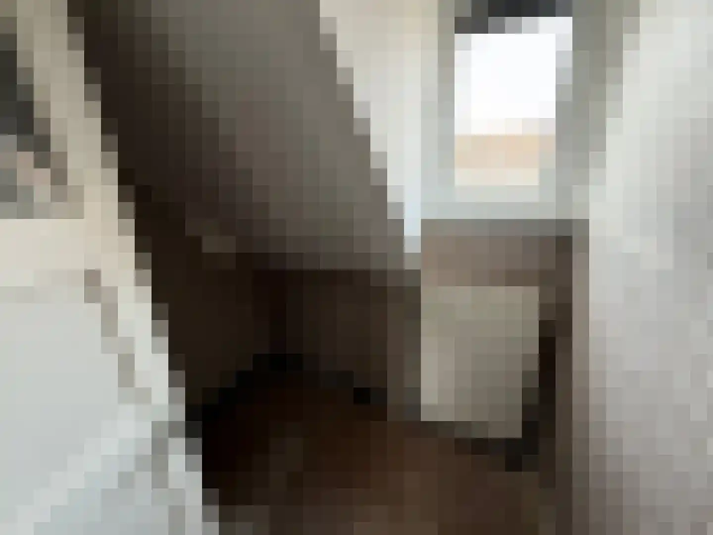 Lemmenslaan 34 Eindhoven thumbnail 7