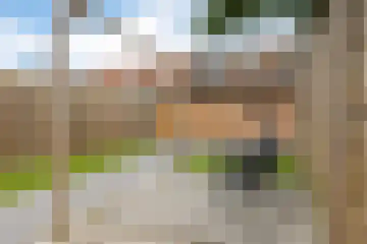 Lemmenslaan 45 Eindhoven thumbnail 38