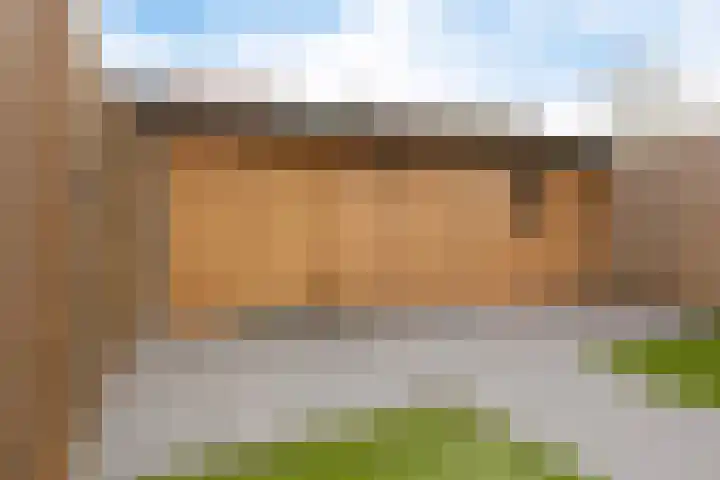 Lemmenslaan 45 Eindhoven thumbnail 40