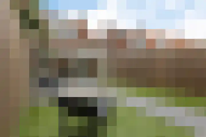 Lemmenslaan 45 Eindhoven thumbnail 42
