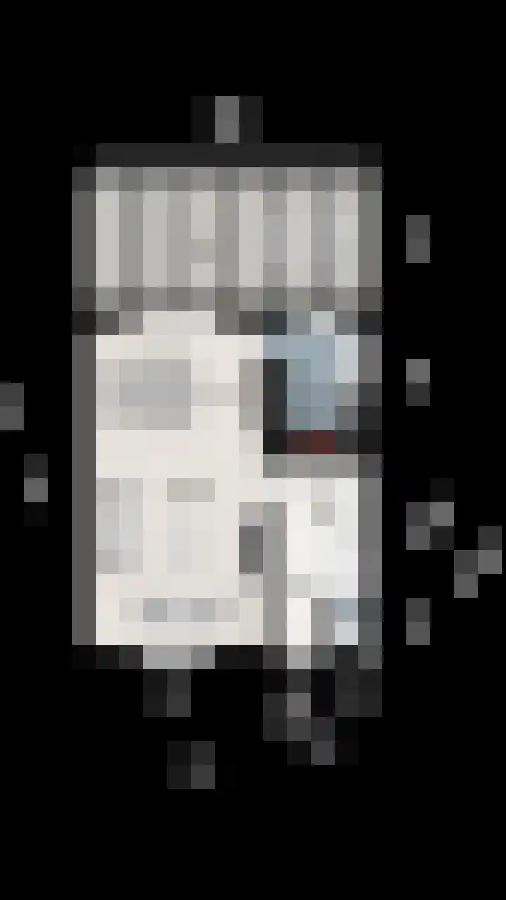 Lemmenslaan 45 Eindhoven thumbnail 43