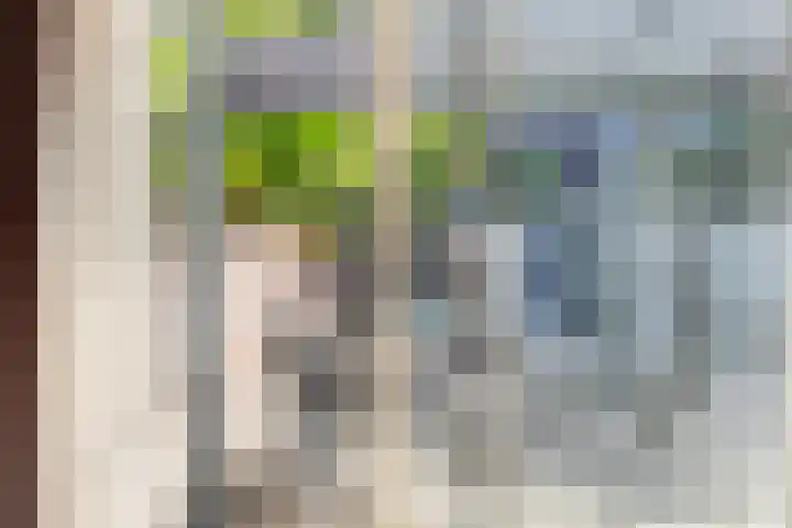 Lemmenslaan 49 Eindhoven thumbnail 12