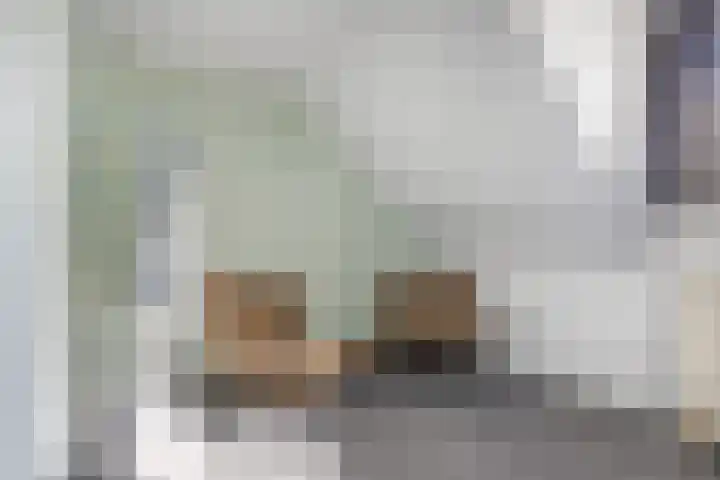 Lemmenslaan 49 Eindhoven thumbnail 19