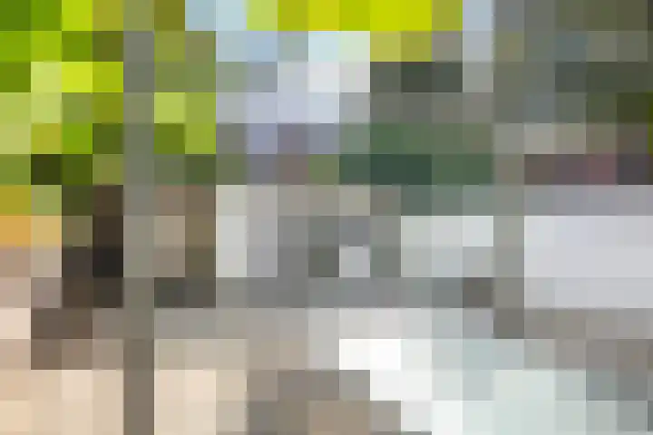 Lemmenslaan 49 Eindhoven thumbnail 23