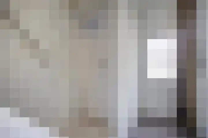 Lemmenslaan 49 Eindhoven thumbnail 5