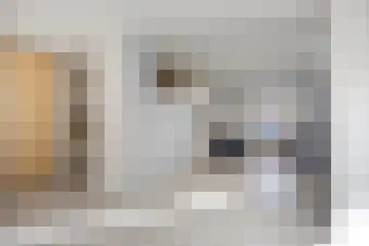 Lemmenslaan 49 Eindhoven thumbnail 7