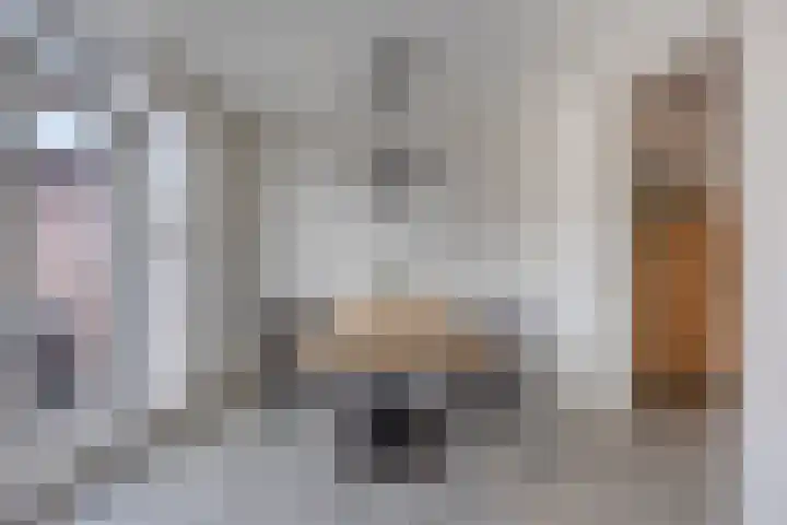 Lemmenslaan 66 Eindhoven thumbnail 18