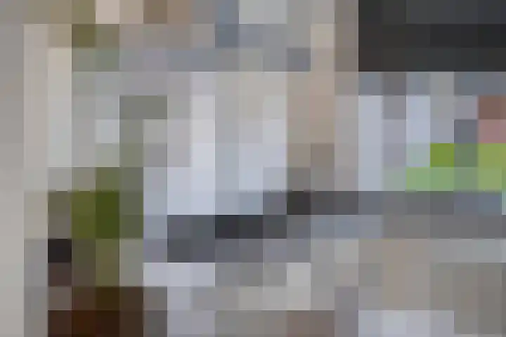 Lemmenslaan 66 Eindhoven thumbnail 22