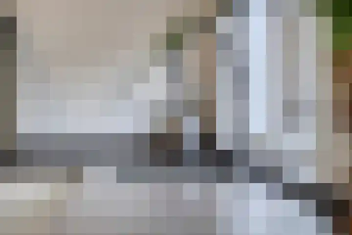 Lemmenslaan 66 Eindhoven thumbnail 23