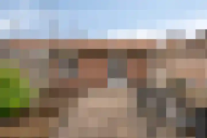 Lemmenslaan 66 Eindhoven thumbnail 38