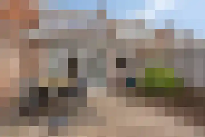 Lemmenslaan 66 Eindhoven thumbnail 4