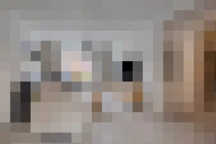 Lemmenslaan 66 Eindhoven thumbnail 9