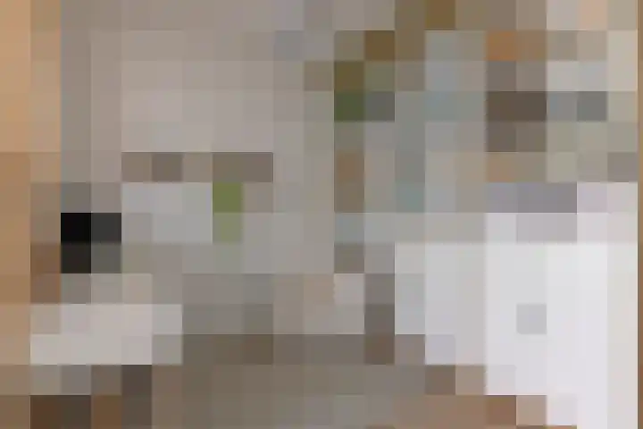 Lemmenslaan 70 Eindhoven thumbnail 13