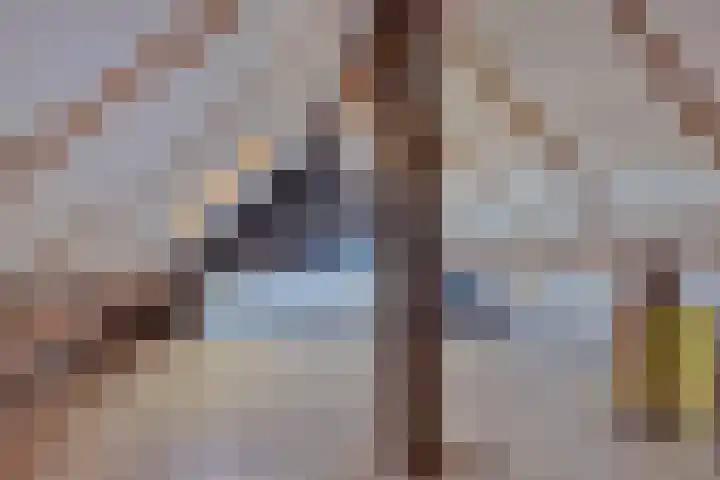 Lemmenslaan 70 Eindhoven thumbnail 22