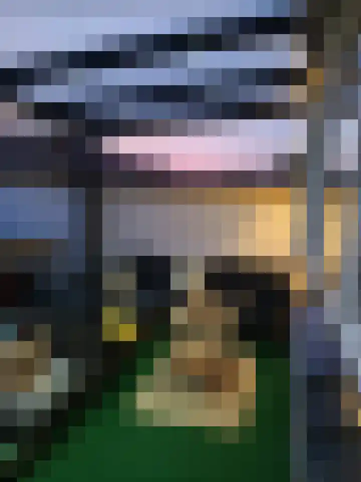 Lemmenslaan 70 Eindhoven thumbnail 26