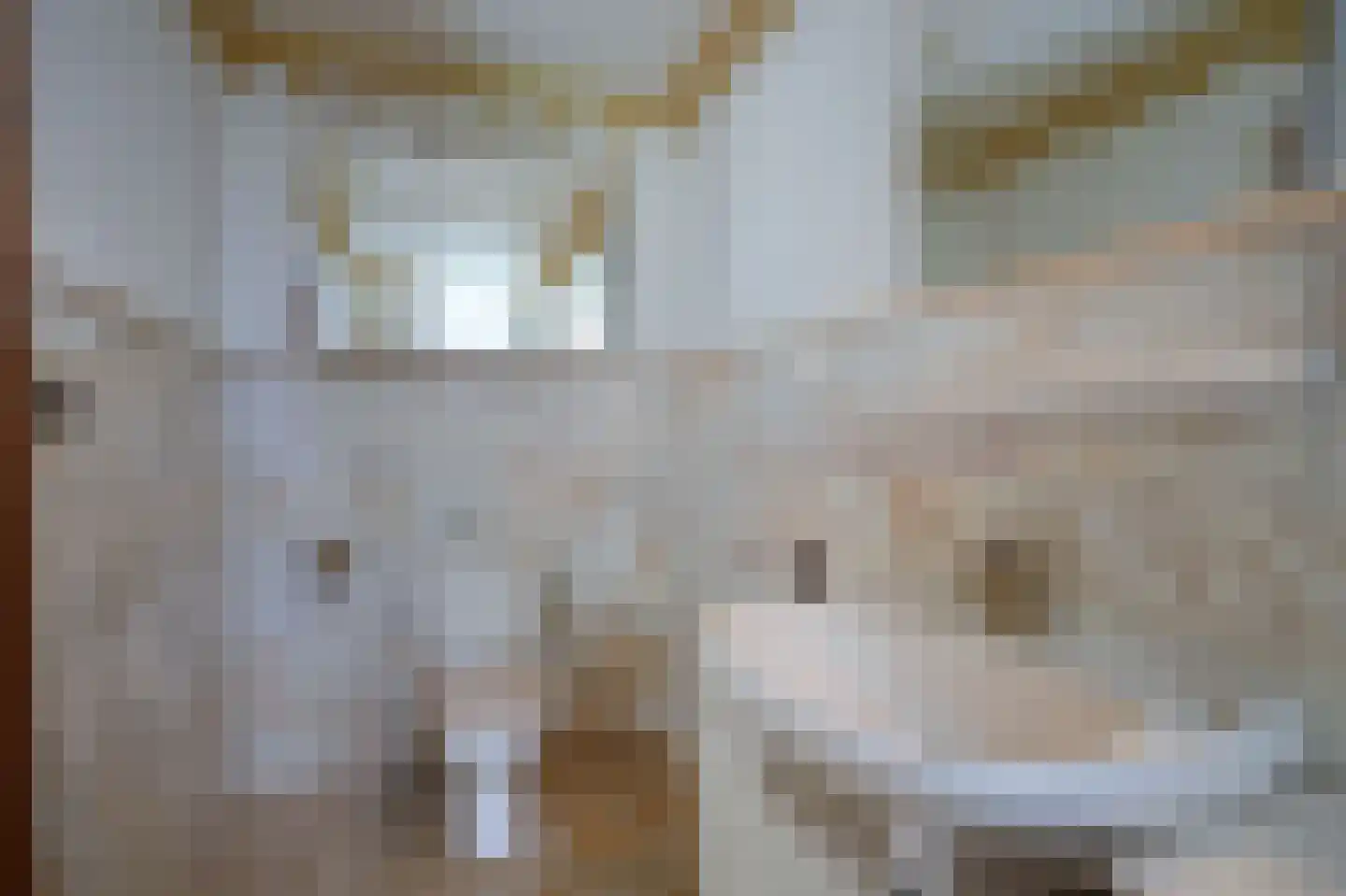 Lemmensstraat 9 Ingber thumbnail 10
