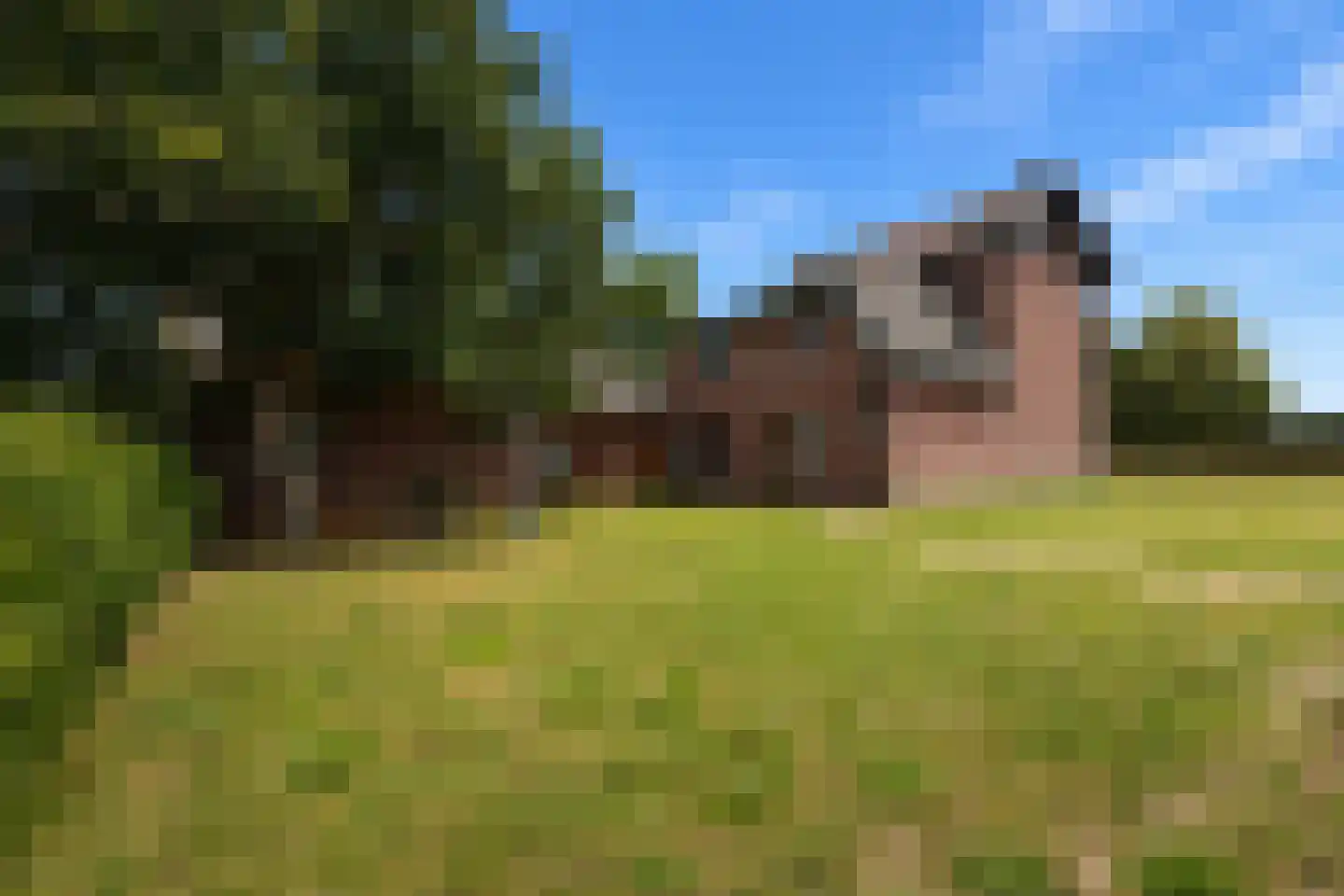 Lemmensstraat 9 Ingber thumbnail 24