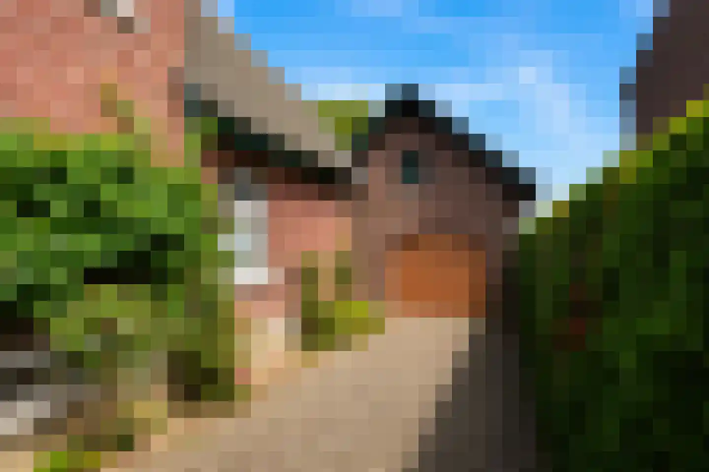 Lemmensstraat 9 Ingber thumbnail 32