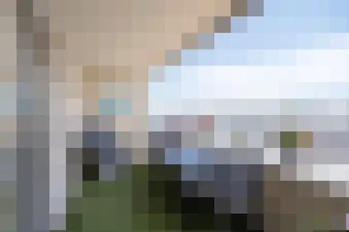 Lemmeraak 59 Bergen op Zoom thumbnail 29