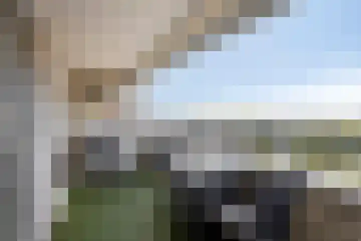 Lemmeraak 59 Bergen op Zoom thumbnail 31