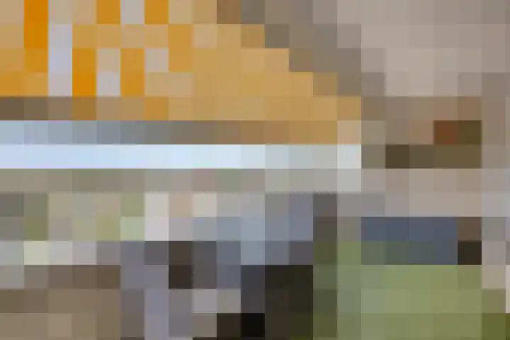 Lemmeraak 59 Bergen op Zoom thumbnail 33