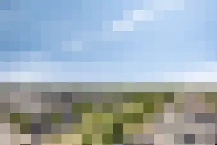 Lemmeraak 59 Bergen op Zoom thumbnail 44