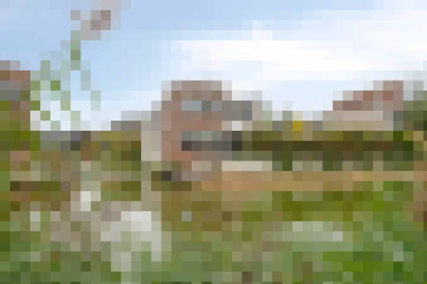 Lemmerhengst 12 Bergen op Zoom thumbnail 10