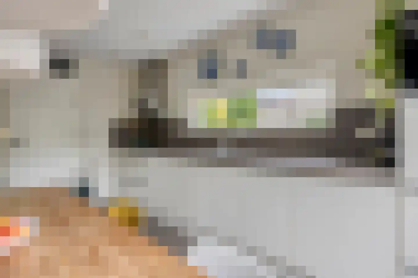 Lemmerhengst 12 Bergen op Zoom thumbnail 24