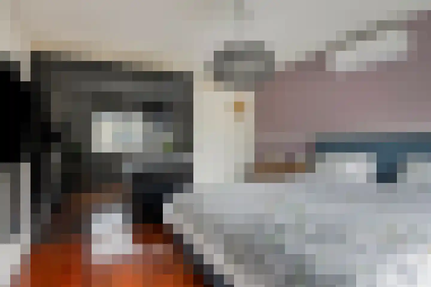 Lemmerhengst 12 Bergen op Zoom thumbnail 30